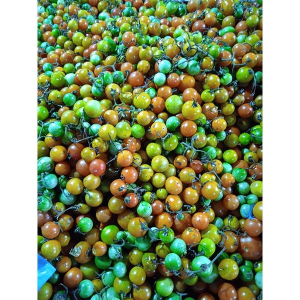 

Tomat chery/500g