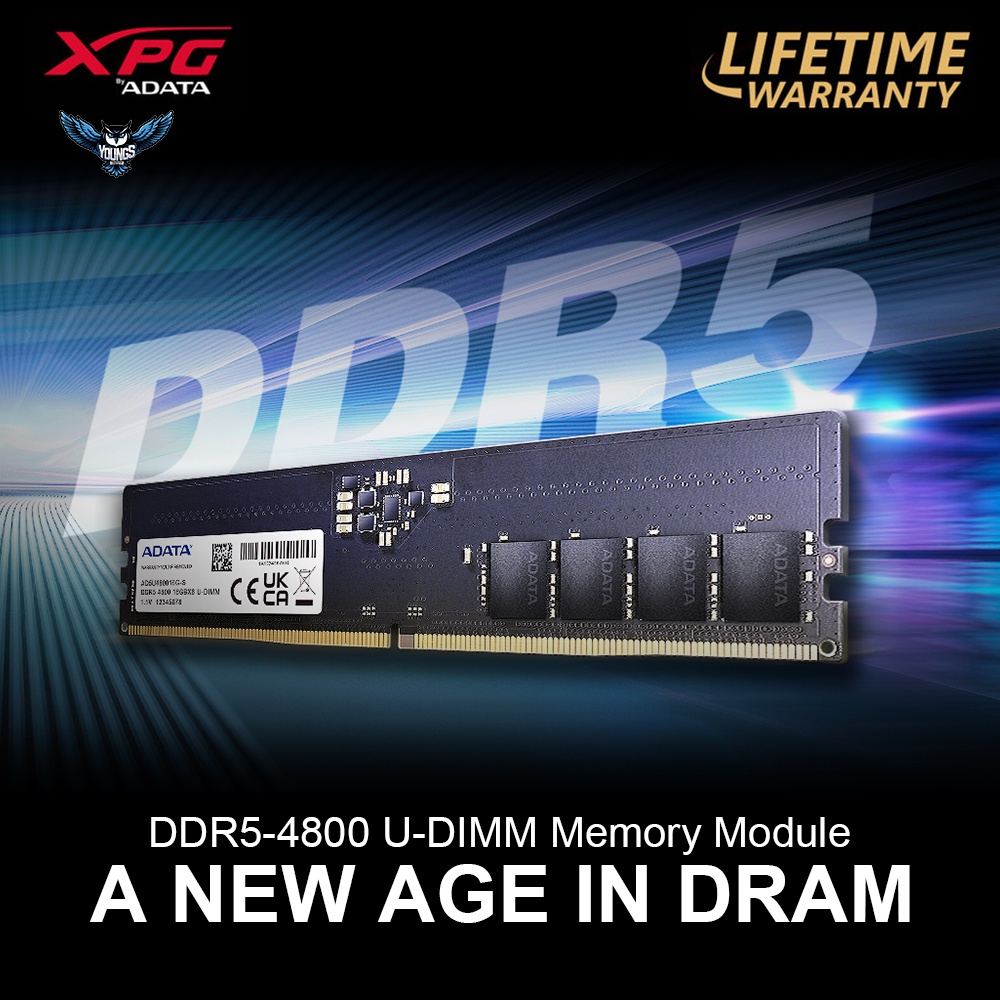 RAM ADATA DDR5 8GB 4800MHz SINGLE LONGDIMM | Memory PC DDR5 4800