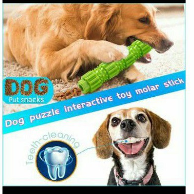 Mainan Gigit Anjing &quot;TOOTHBRUSH STICK 23,5cm&quot; Dog Toys