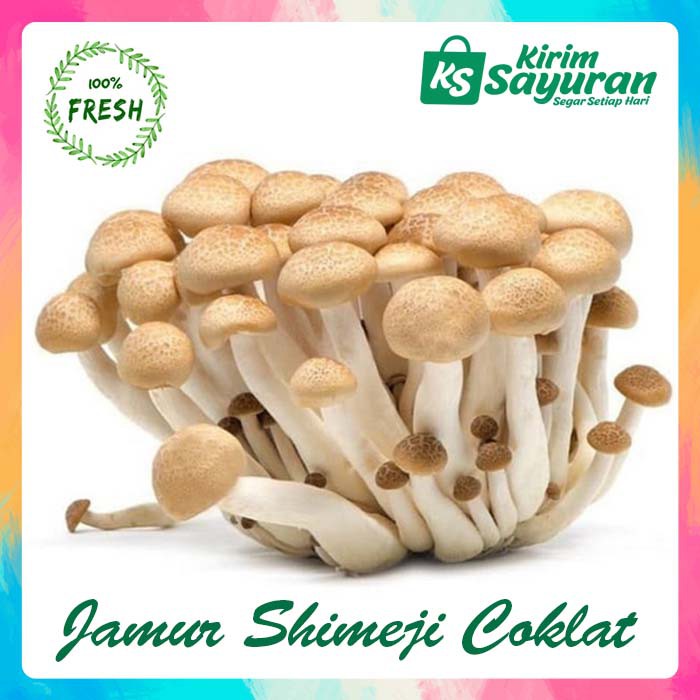 

JAMUR SHIMEJI COKLAT / WHITE BROWN SEGAR/FRESH (PACK)