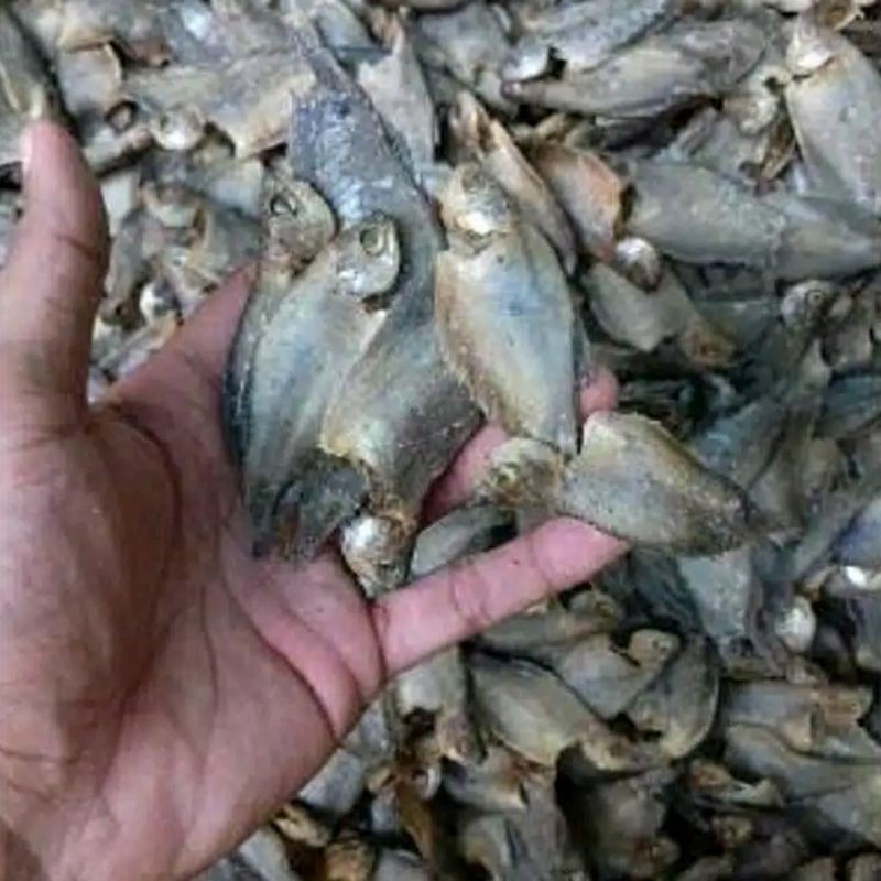 

iIKAN ASIN SEPAT 100GRAM