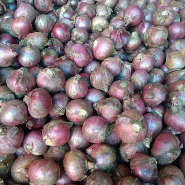 

Bawang Merah Super 250 gram