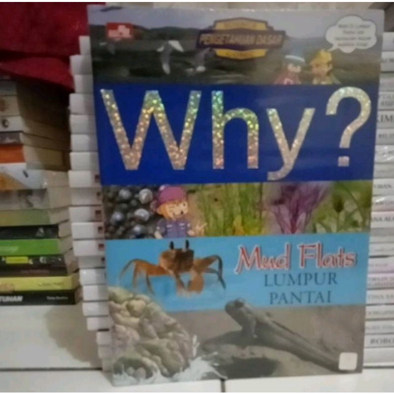 

Buku Why Lumpur Pantai Original