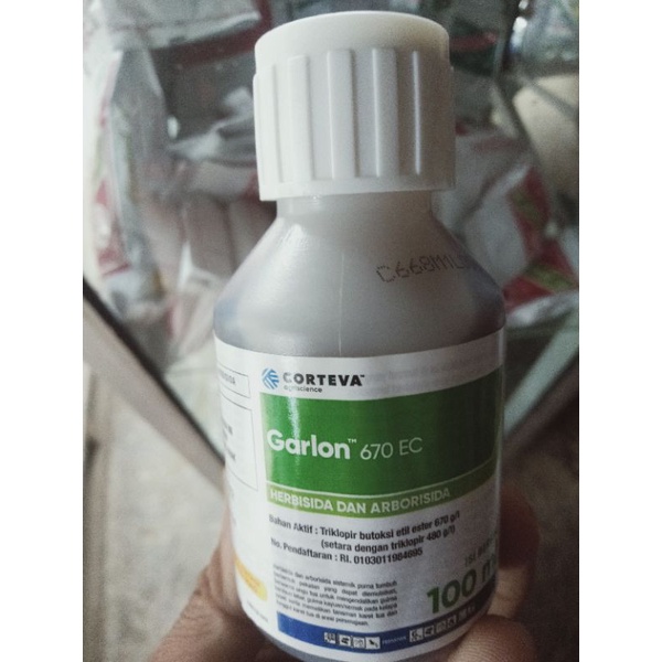 GARLON STARLON REXLON