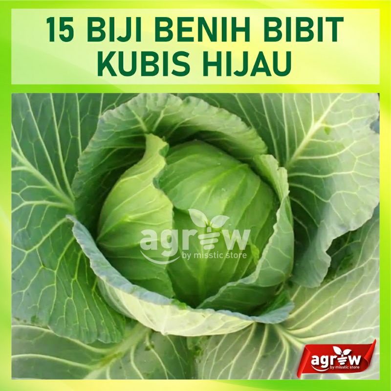 15 Benih Biji Kol Kubis Hijau F1 Sehati Dataran Rendah Cap Panah Merah