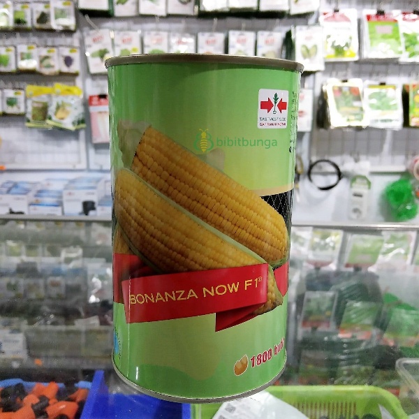 Benih Bibit Jagung Manis Bonanza Now F1 1800 Biji Hibrida Panah Merah