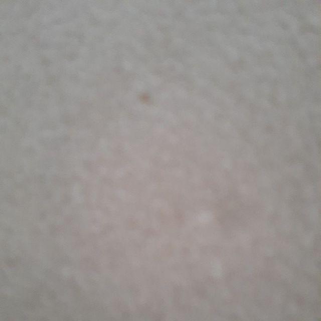 Hanger Jilbab Oval Di Jual Per Lusin 12 Pcs