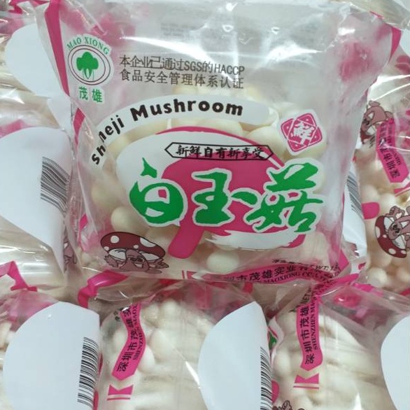 

Jamur Shimeji Putih 1pack