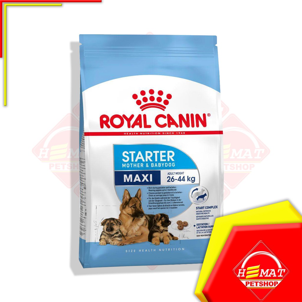 Royal Canin Maxi Starter Mother &amp; Babydog 4 Kg / Makanan Anjing