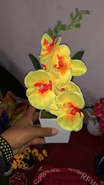 Anggrek Meja Artificial K7