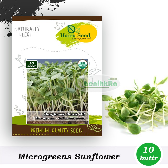 Benih-Bibit Microgreens Sunflower Black Oil Organik (Haira Seed)