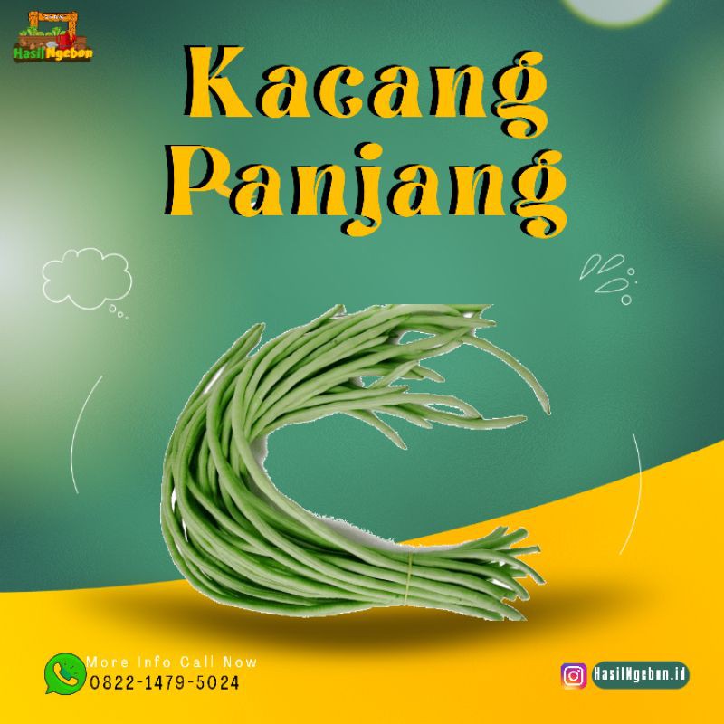 

KACANG PANJANG 500GR