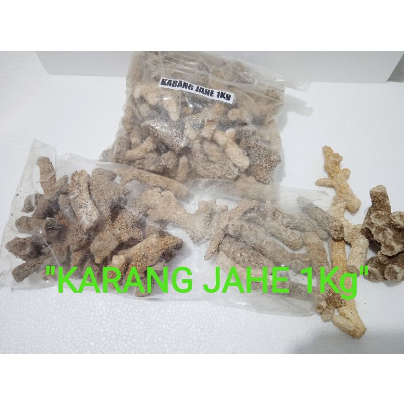 BATU KARANG JAHE 1Kg Media Filter Aquarium/Aquasacpe