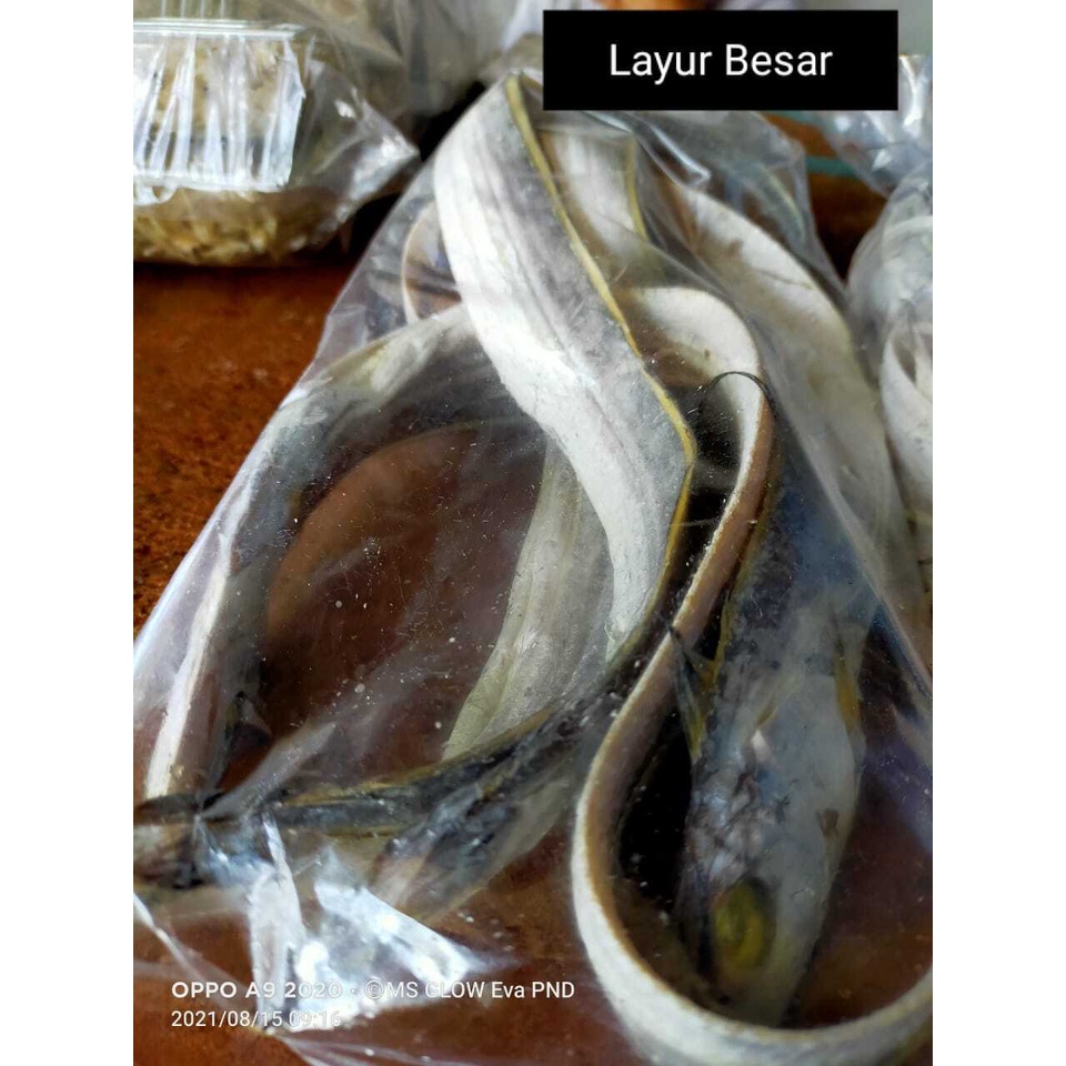 

Ikan Asin Layur Per Iket