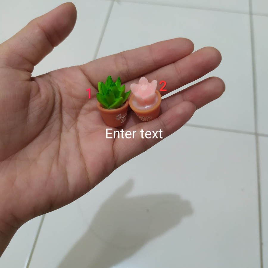 Special Promo Miniatur Tanaman Kaktus Miniatur Pohon Kaktus Mini