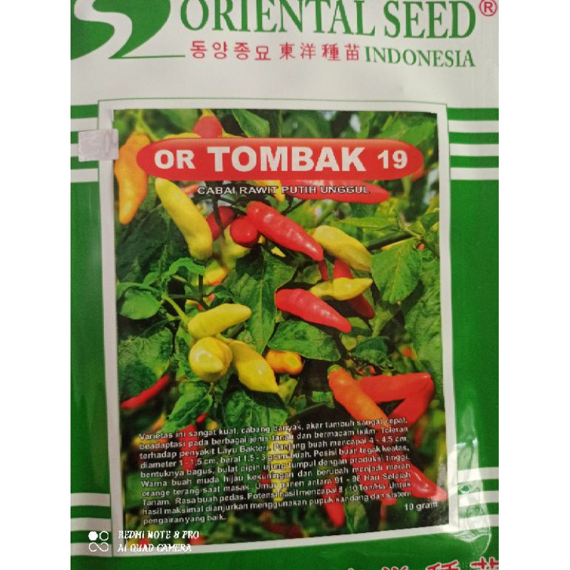 BENIH CABE RAWIT TOMBAK 19 ORIENTAL SEED