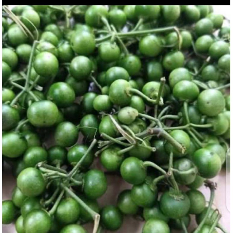 

leunca, 25000/kg