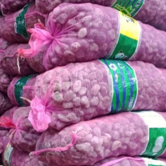 Media Filter Batu Gombong 20kg Filter Kolam Mirip Batu Apung