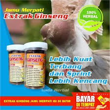 

ISI 30 BUTIR JAMU MERPATI EKSTRAK GINSENG - JAMU MERPATI BALAP - JAMU MERPATI KOLONG - KOLONGAN