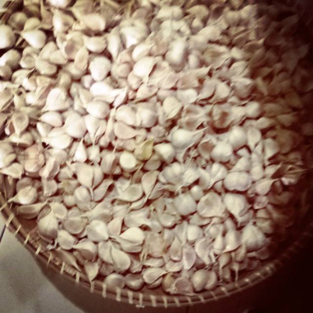 

Bawang Putih cutting