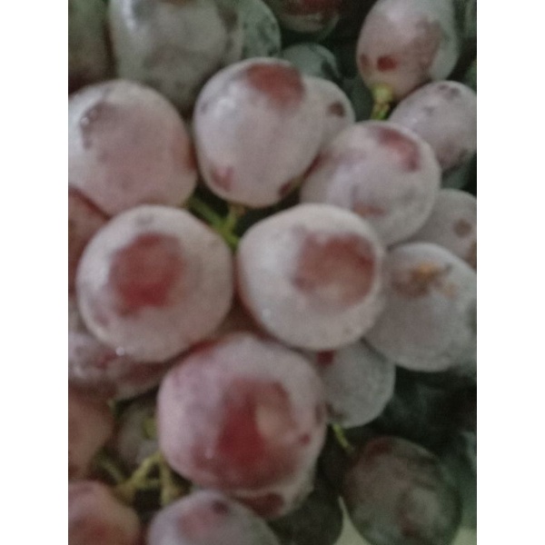 

Anggur china 1 kg