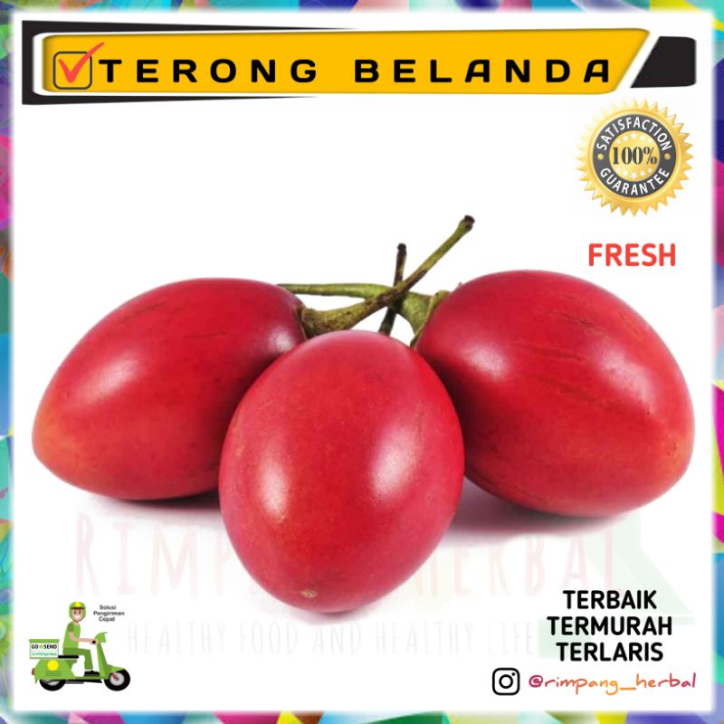 

Terong Belanda 1Kg | Buah Segar | Terlaris