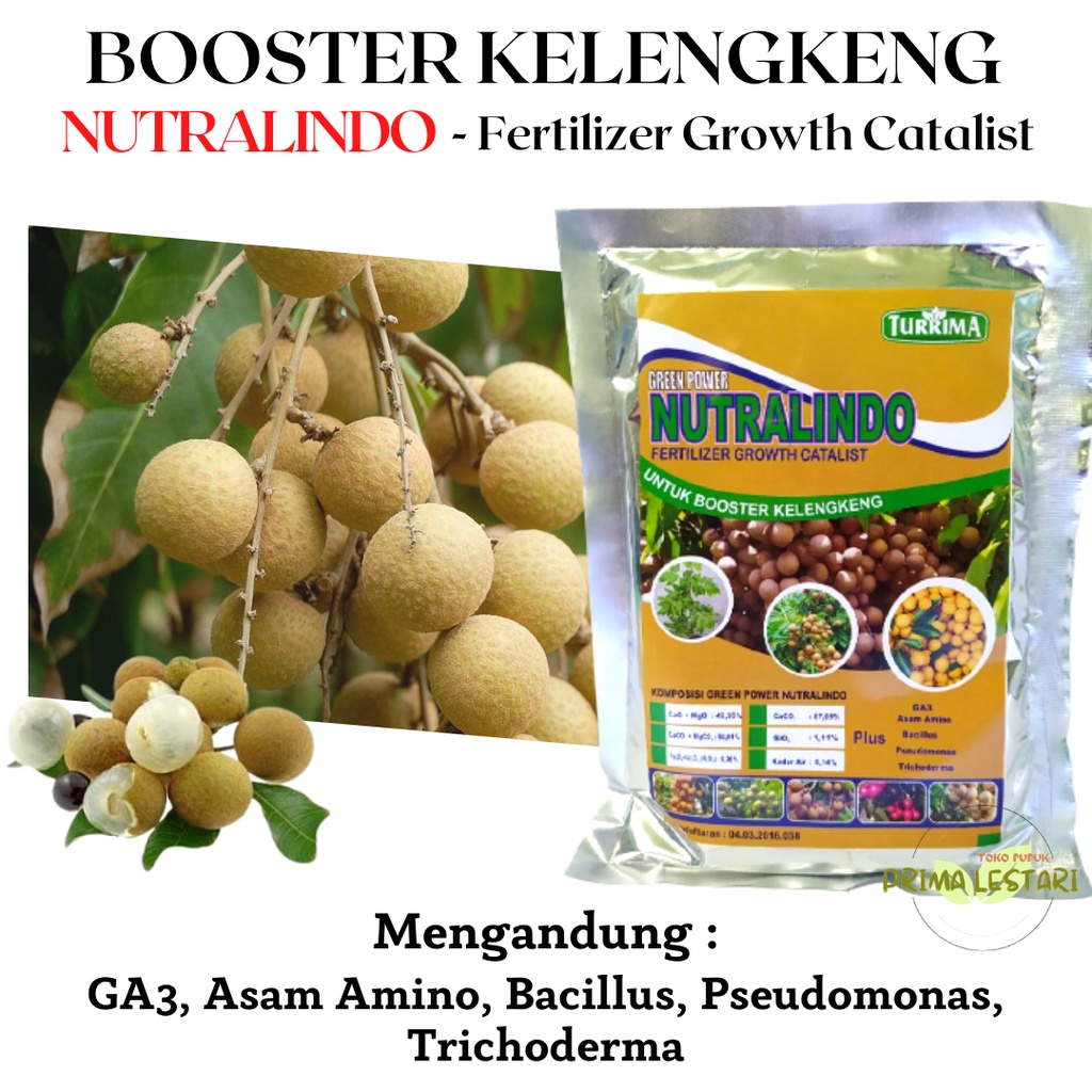 Pupuk Perangsang Buah Kelengkeng, Booster Kelengkeng New Cristal, Pupuk Kelengkeng Cepat Berbuah