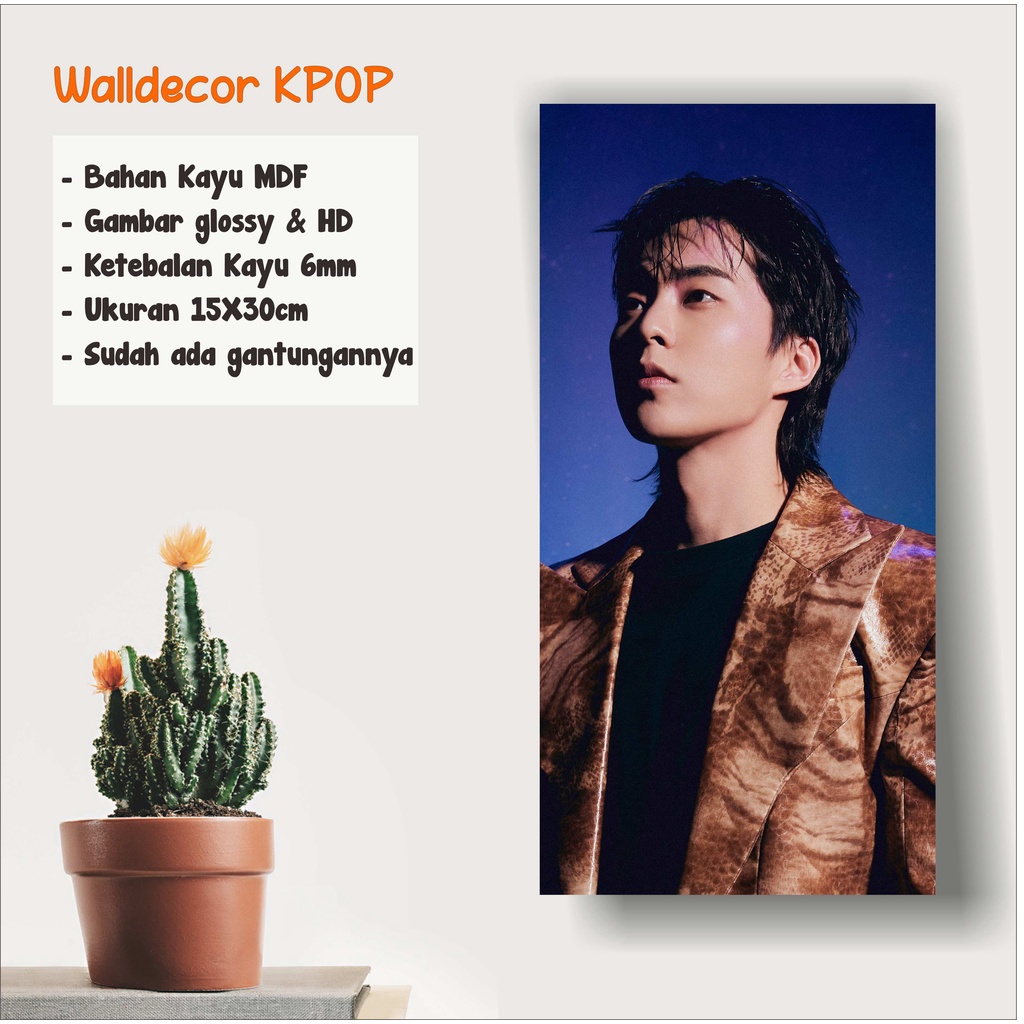 WALLDECOR EXO XIUMIN DONT FIGHT THE FEELING UKURAN 15X30 CM WALL DECOR POSTER KAYU HIASAN DINGDING