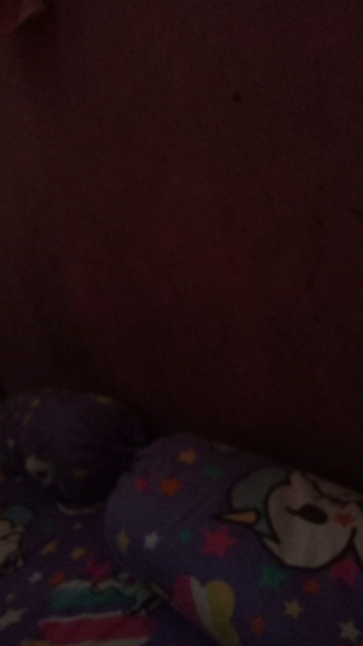 Rc Sprei Fata Rumbai King Ukuran 180x200 Motif Minimalis Harga Terjangkau