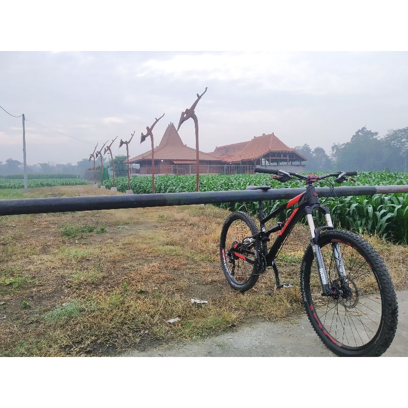 Polygon Siskiu D7 (2019)