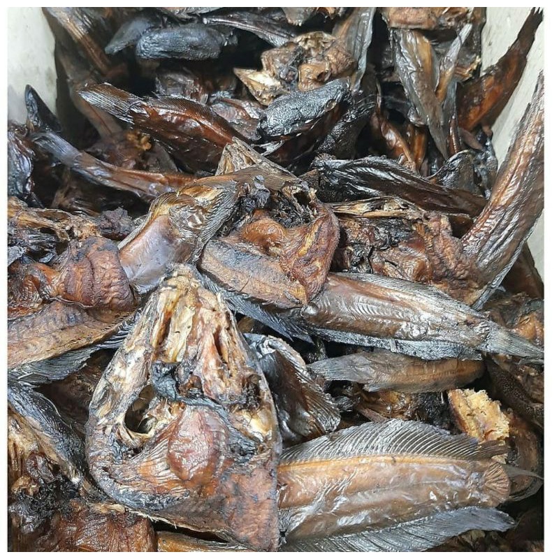 

ikan sale 1kg