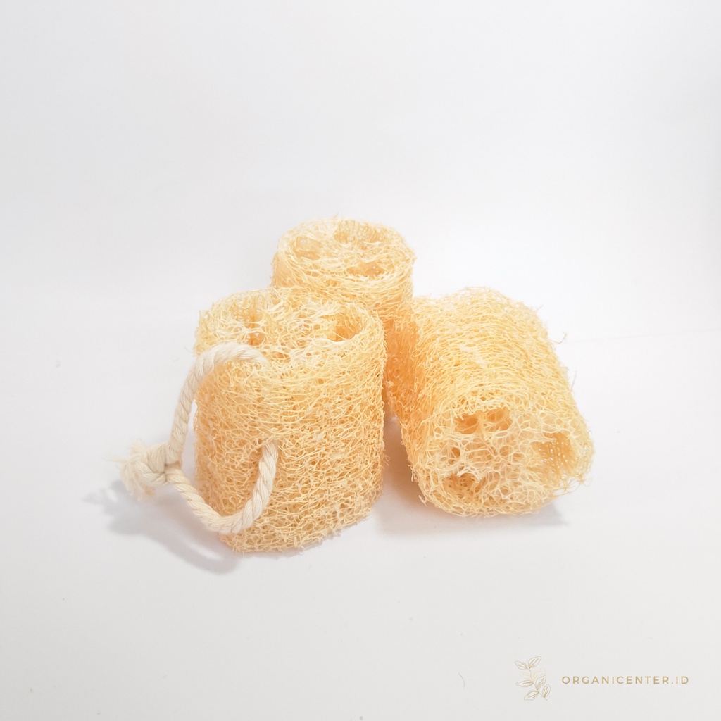 Loofah Sponge Mini / Spons Gambas Natural Alami / Spons Sabut Cuci Piring / Oyong Kering Zero Waste