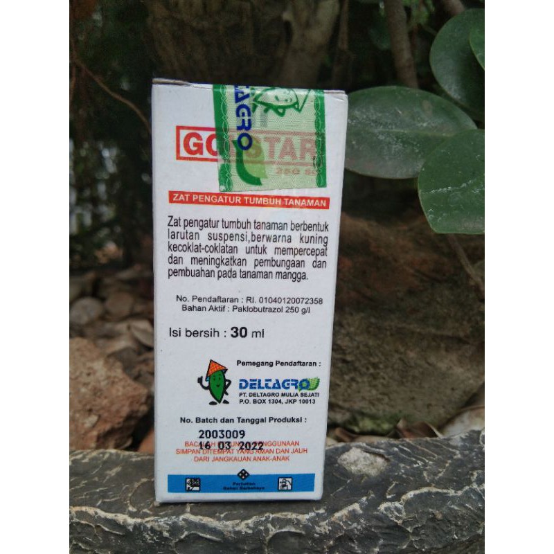 ZPT Golstar Zat Pengatur Tumbuh Tanaman