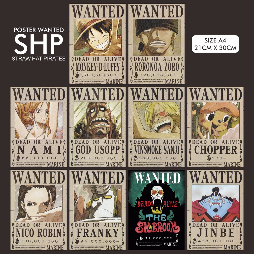 Poster Anime Bounty One Piece - WANTED Poster One Piece Character