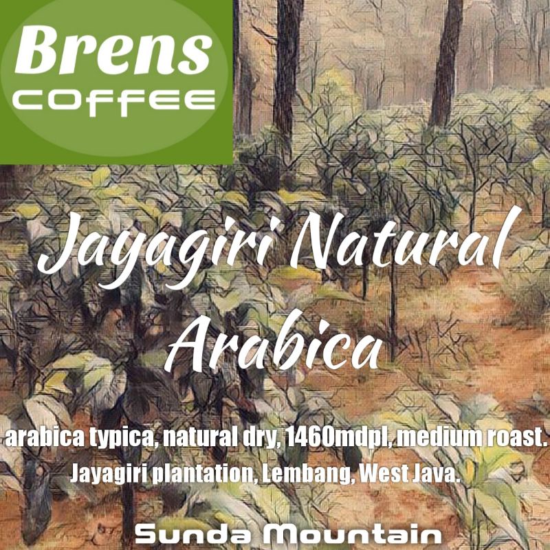 

Arabica Jayagiri Natural Proses Kopi Coffee Specialty 100grams