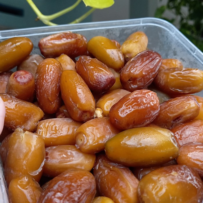 

PRODUK TERBAIK - KURMA RUTHOB KURMA FRESH LANGSUNG DARI LIBYA - 500GR MATANG