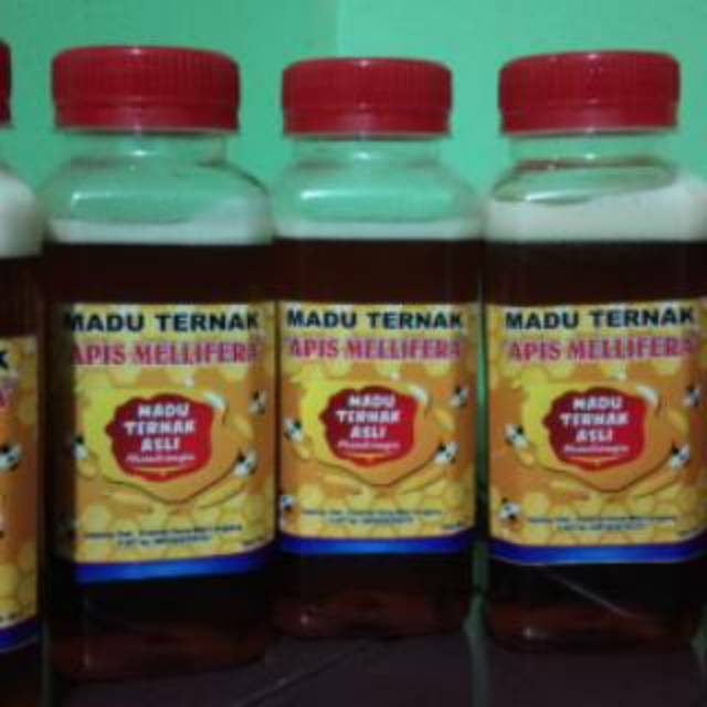 

Madu Hutan Akasia / Madu Hutan / Madu Organik / Madu Murni
