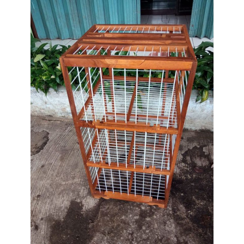 dondang  lepas tingkat 3 fiber khusus burung dara merpati dara lomba bahan kayu jati plitur