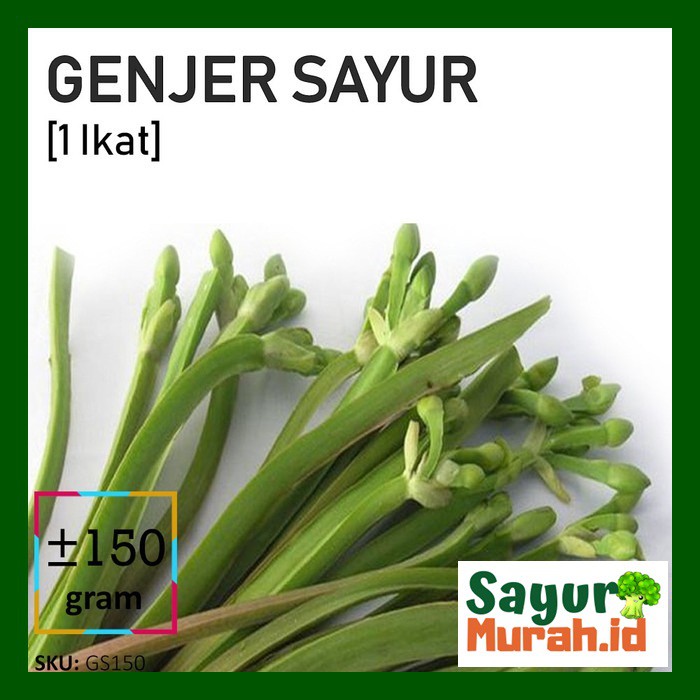 

GENJER SAYUR [1Ikat, +-150g]