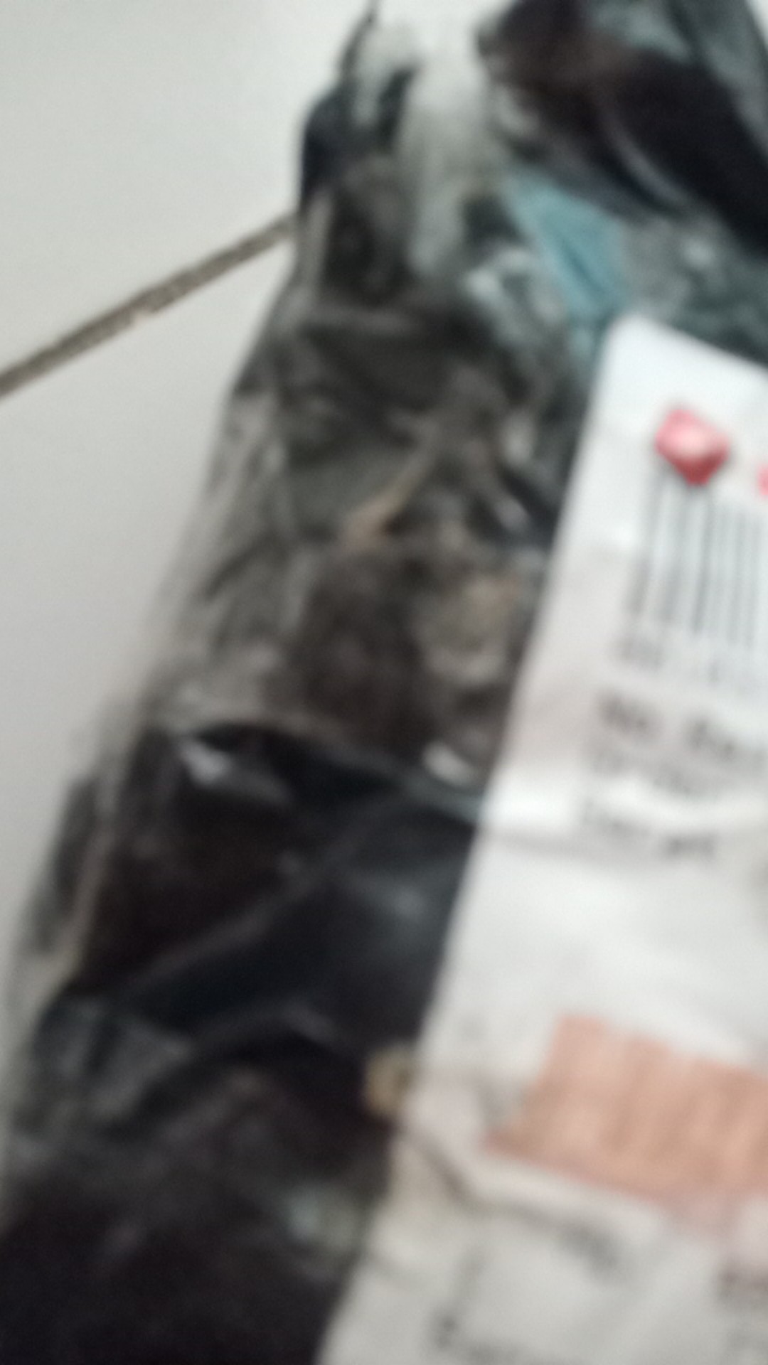 Batu Koral Putih Kupang