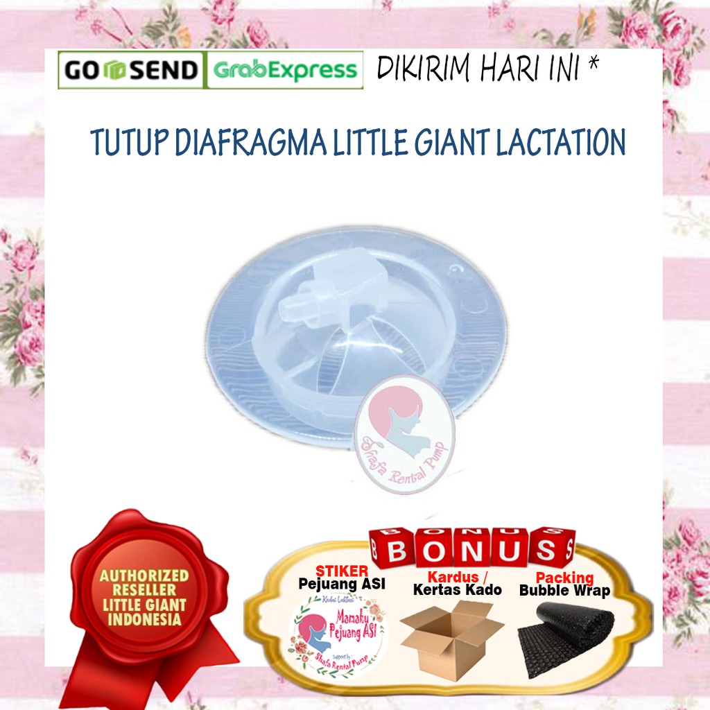 Tutup Diafragma Little Giant Lactation / Tutup Diafragma Avent Natural Comfort