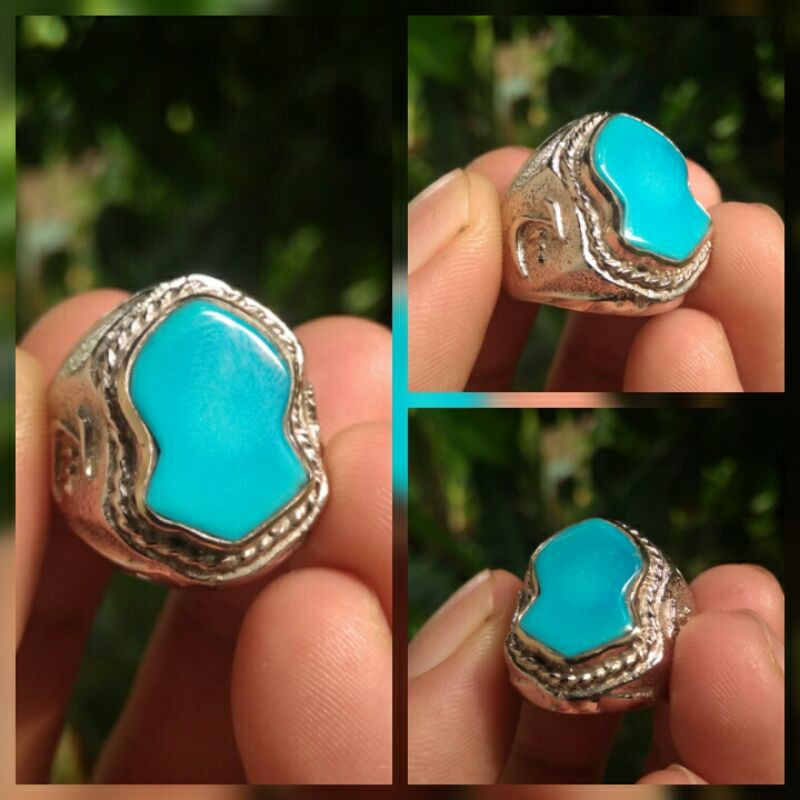 natural Pirus persia biru terompah