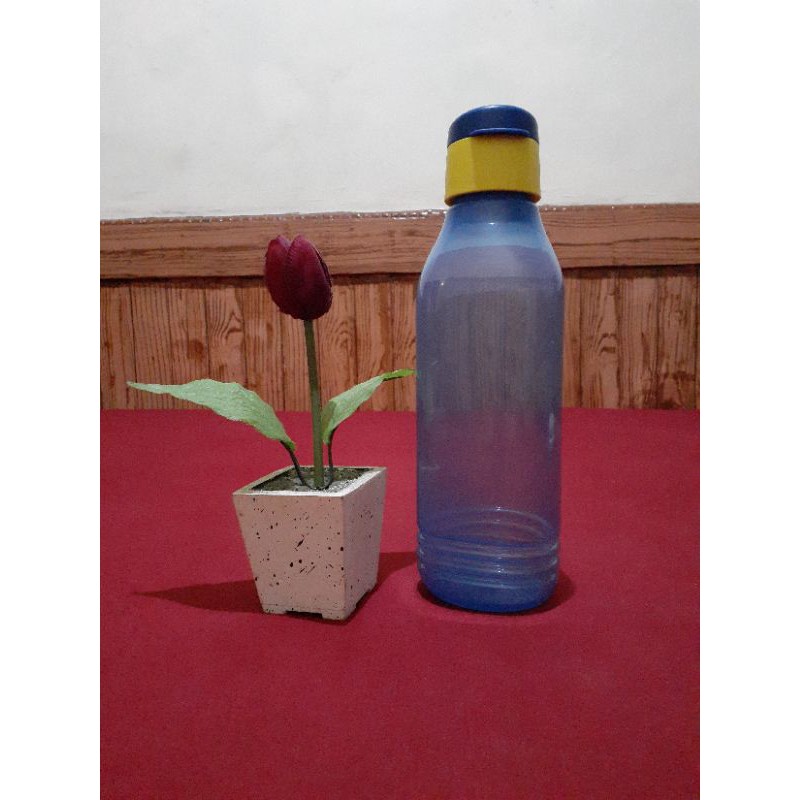 

Ecobotol