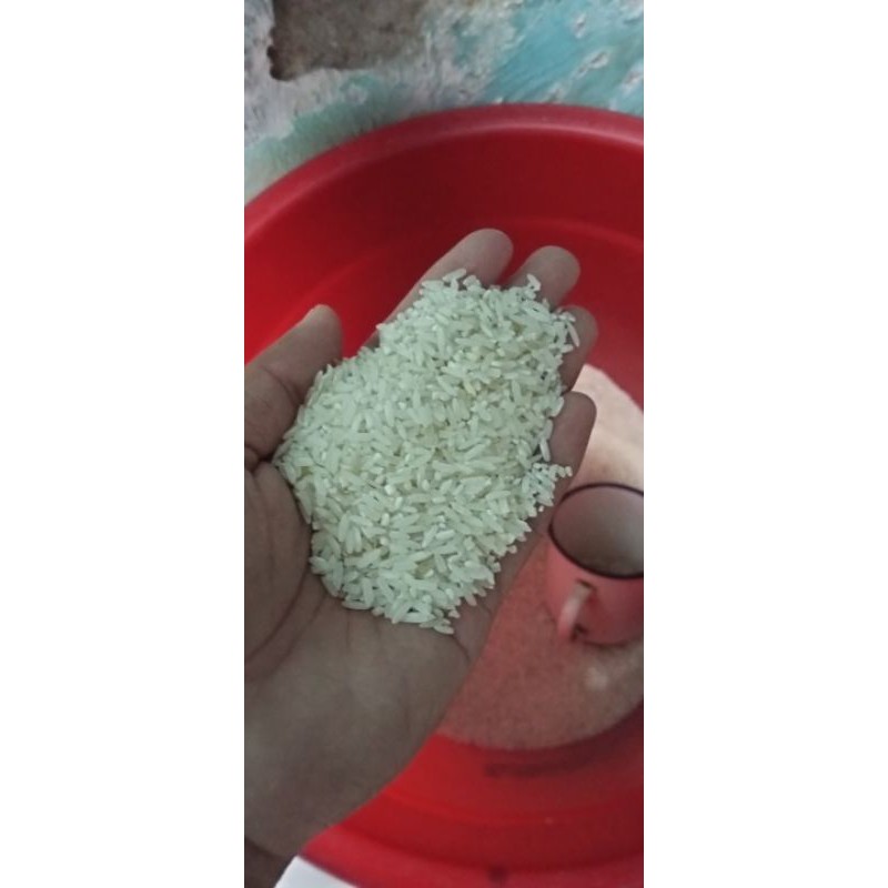 

Beras Putih Murah