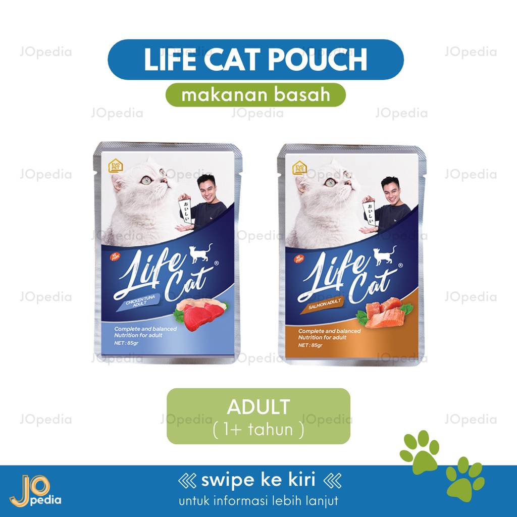 LIFE CAT POUCH Makanan Basah Kucing Cat Wet Food Kitten Adult Senior Junior 85gr 85 gram