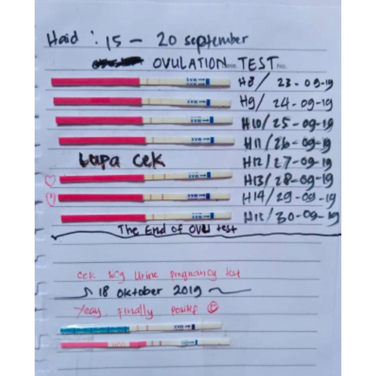 PAKET Alat Tes Ovulasi Masa Subur Kesuburan Wanita Ovu Test Tespek Kesuburan