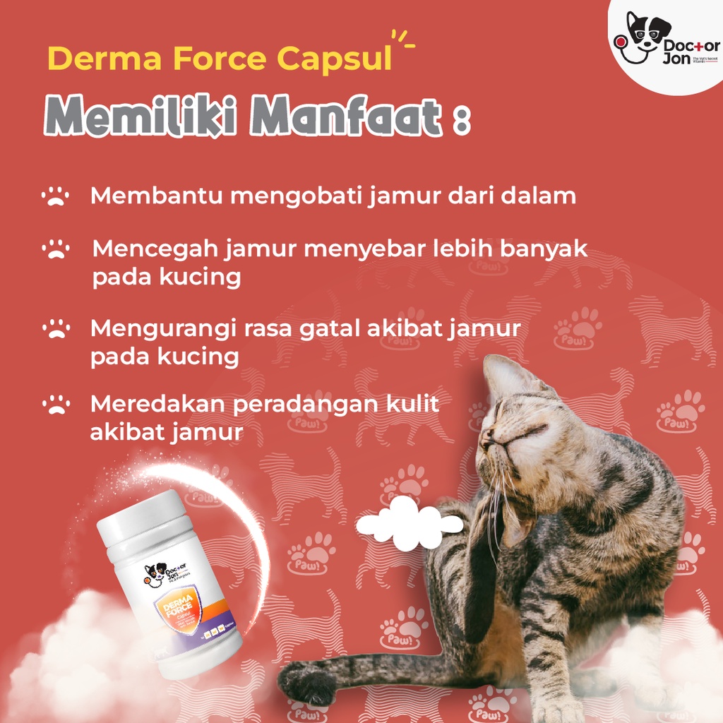 Vitamin Kucing Gangguan Kulit Berjamur Anti Jamur / Doctor Jon Derma Force Kapsul