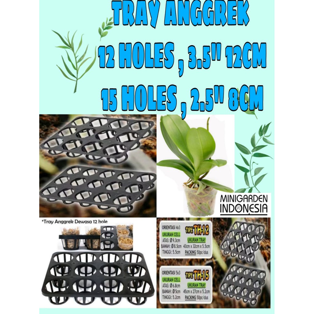 TRAY SEMAI ANGGREK POT TRAY 12 LUBANG wadah tempat flexible pot 12cm 3,5'' semai bibit benih tanaman