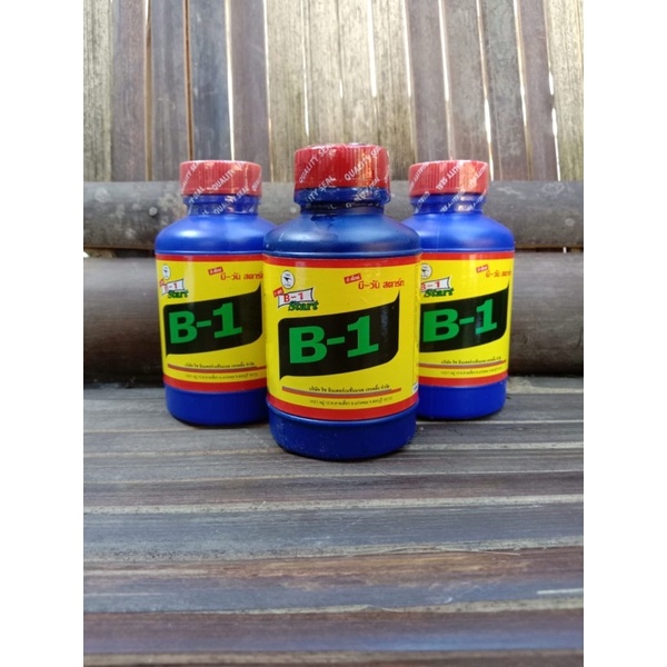 B1 Ori thailand || Termurah