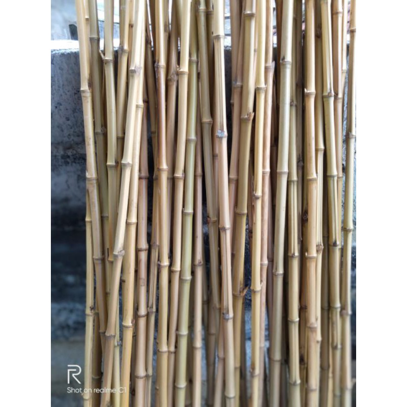 bambu cendani D,2 cm t 150 cm